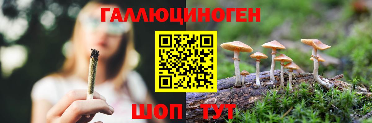 Муром  Галлюциногенные грибы мицелий  Вход с VPN  Псилоцибиновые грибы MAGIC MUSHROOMS 